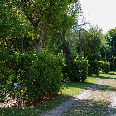 Campsite Bocca Di Cecina Marina di Cecina