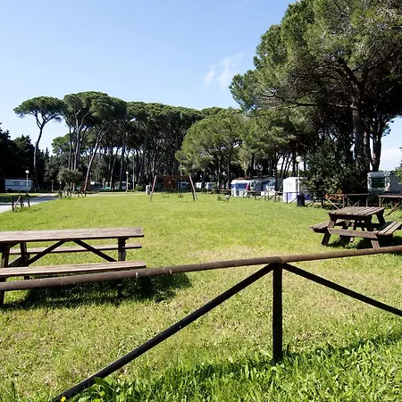 Bocca Di Cecina