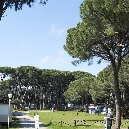 Kemp Bocca Di Cecina Marina di Cecina