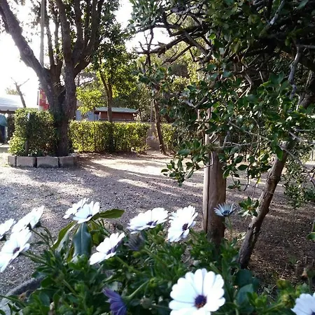 Bocca Di Cecina Kemp Marina di Cecina